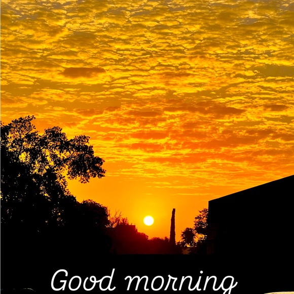 Meet your Posher, Tonya Anna Maria - Picture 1 of 2